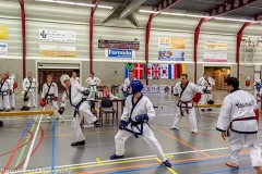 Internationaal vriendschapstoernooi oktober 2014