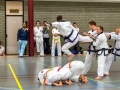 IMG_101398839736350.jpeg