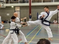 IMG_101403190596946.jpeg