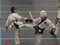 IMG-20190203-WA0028