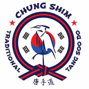 tang soo do, karate, vechtsport, taekwondo, smallingerland,drachten